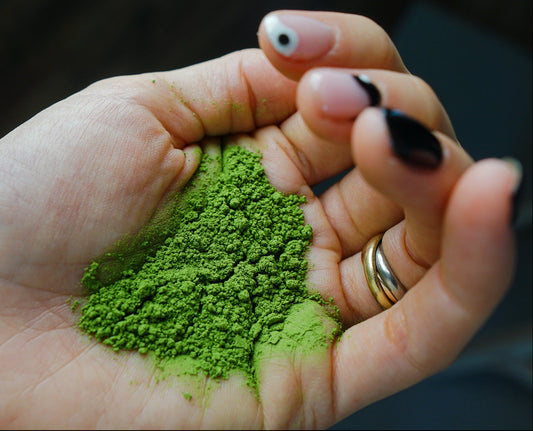 Usucha Classic Matcha 薄茶