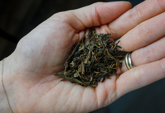 Hojicha ほうじ茶