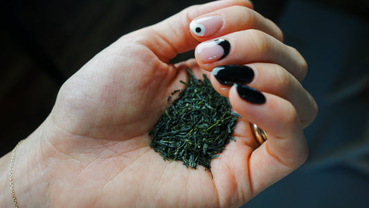 Sencha 煎茶